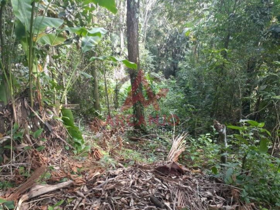 Imagem Terreno à Venda, 1.290 m² em Prumirim - Ubatuba Imagem Terreno à Venda, 1.290 m² em Prumirim - Ubatuba