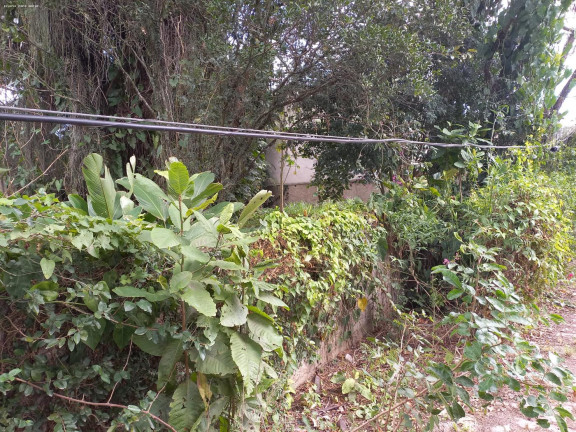 Imagem Terreno à Venda, 1.196 m² em Itaipu - Niterói Imagem Terreno à Venda, 1.196 m² em Itaipu - Niterói