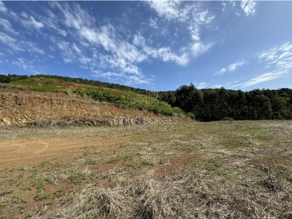 Imagem Terreno à Venda, em Br 153 - Concórdia Imagem Terreno à Venda, em Br 153 - Concórdia