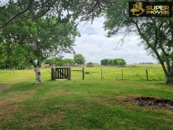 Imagem Imóvel com 2 Quartos à Venda, 14.700.000 m² em Quinta - Rio Grande Imagem Imóvel com 2 Quartos à Venda, 14.700.000 m² em Quinta - Rio Grande