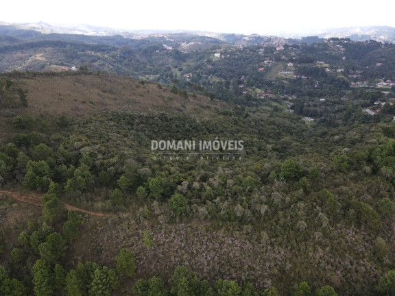 Imagem Imóvel à Venda, 162.000 m² em Região Do Alto Do Capivari - Campos Do Jordão Imagem Imóvel à Venda, 162.000 m² em Região Do Alto Do Capivari - Campos Do Jordão