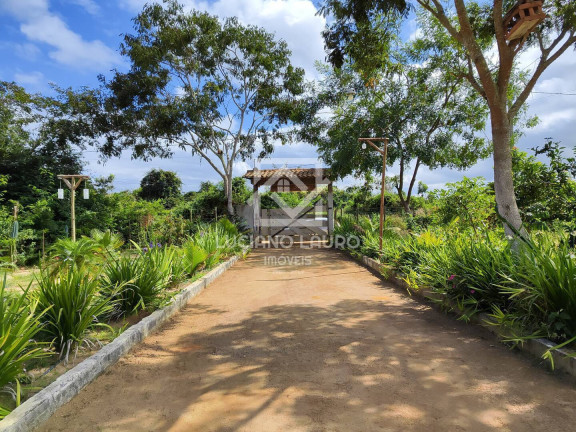 Chácara com 4 Quartos à Venda, 4.000 m² em Lagoa Das Flores - Vitória Da Conquista
