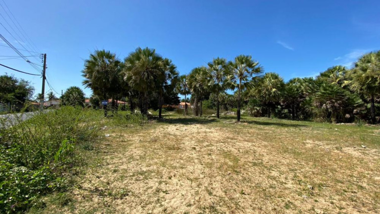 Imagem Terreno à Venda, 1.275 m² em Alto Bonito - Luís Correia Imagem Terreno à Venda, 1.275 m² em Alto Bonito - Luís Correia