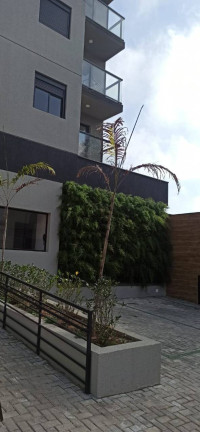 Imagem Apartamento com 2 Quartos à Venda, 50 m² em Vila Curuçá - Santo André Imagem Apartamento com 2 Quartos à Venda, 50 m² em Vila Curuçá - Santo André