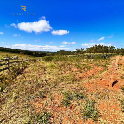 Imagem Chácara à Venda, 20.000 m² em Gravataí Imagem Chácara à Venda, 20.000 m² em Gravataí