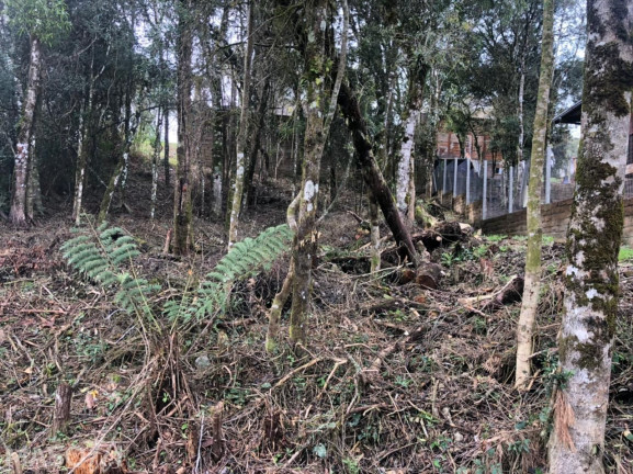 Imagem Terreno à Venda, 422 m² em Mato Queimado - Gramado Imagem Terreno à Venda, 422 m² em Mato Queimado - Gramado