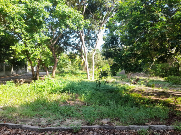 Imagem Terreno em Condomínio à Venda, 985 m² em Praia Da Pipa - Tibau Do Sul Imagem Terreno em Condomínio à Venda, 985 m² em Praia Da Pipa - Tibau Do Sul