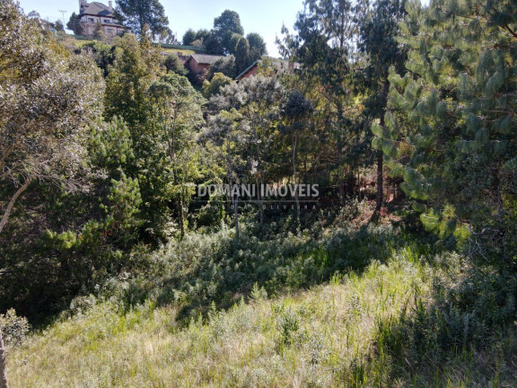 Imagem Terreno à Venda, 1.215 m² em Região Do Alto Da Boa Vista - Campos Do Jordão Imagem Terreno à Venda, 1.215 m² em Região Do Alto Da Boa Vista - Campos Do Jordão