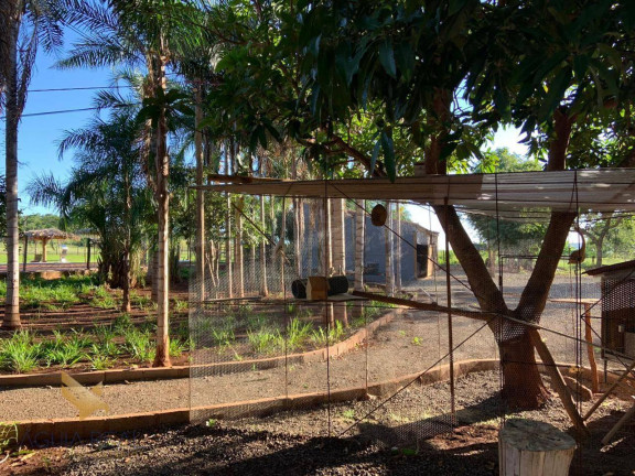 Imagem Chácara com 4 Quartos à Venda, 70.000 m² em Parque Fazenda Imbirussu - Campo Grande Imagem Chácara com 4 Quartos à Venda, 70.000 m² em Parque Fazenda Imbirussu - Campo Grande