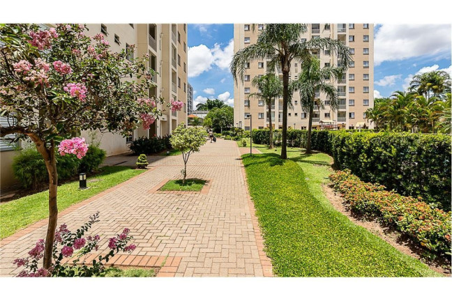 Imagem Apartamento com 3 Quartos à Venda, 65 m² em água Branca - São Paulo Imagem Apartamento com 3 Quartos à Venda, 65 m² em água Branca - São Paulo