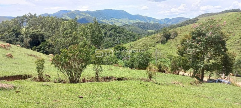 Imagem Imóvel à Venda, 150 m² em Ponte Nova - Cunha Imagem Imóvel à Venda, 150 m² em Ponte Nova - Cunha