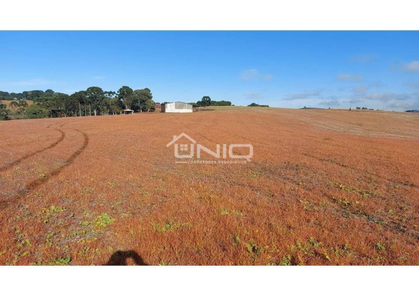 Imagem Fazenda à Venda, em Palmas Imagem Fazenda à Venda, em Palmas