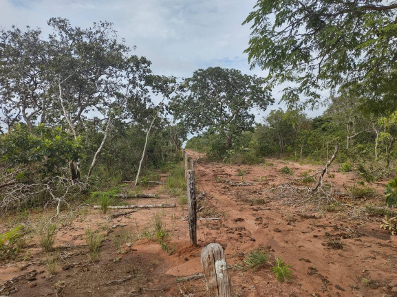 Imagem Fazenda à Venda, 75 m² em Uberlândia Imagem Fazenda à Venda, 75 m² em Uberlândia