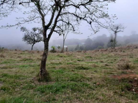 Imagem Fazenda à Venda, 20 m² em Campo Grande - Pilar Do Sul Imagem Fazenda à Venda, 20 m² em Campo Grande - Pilar Do Sul
