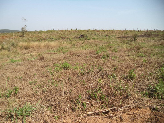 Imagem Chácara com 4 Quartos à Venda, 63.000 m² em Douradinho - Piedade