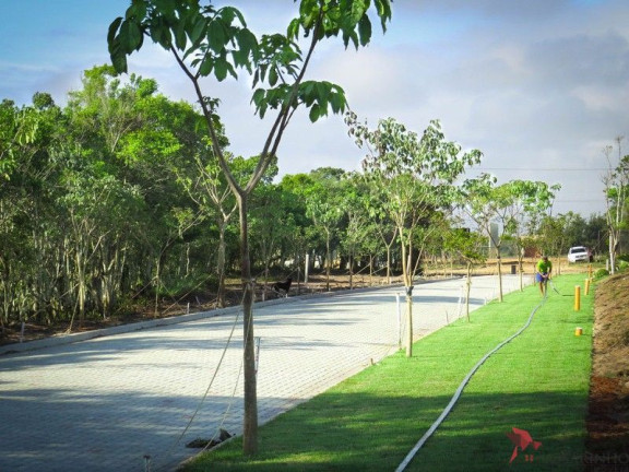 Imagem Terreno à Venda, 343 m² em Passo De Torres - Passo De Torres Imagem Terreno à Venda, 343 m² em Passo De Torres - Passo De Torres