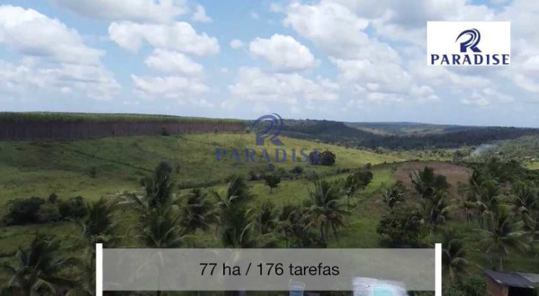Imagem Fazenda à Venda, 766.000 m² em Zona Rural - Cardeal Da Silva Imagem Fazenda à Venda, 766.000 m² em Zona Rural - Cardeal Da Silva
