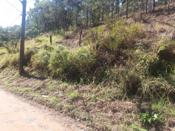 Imagem Terreno à Venda, 6.765 m² em Ouro Fino Paulista - Ribeirão Pires Imagem Terreno à Venda, 6.765 m² em Ouro Fino Paulista - Ribeirão Pires