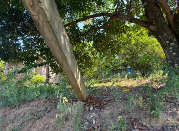 Terreno à Venda, 264 m² em Campina Grande - Cariacica