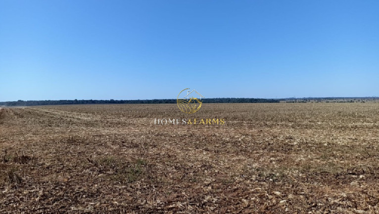 Imagem Imóvel com 3 Quartos à Venda, 1.800 m² em Centro - Itaúba Imagem Imóvel com 3 Quartos à Venda, 1.800 m² em Centro - Itaúba
