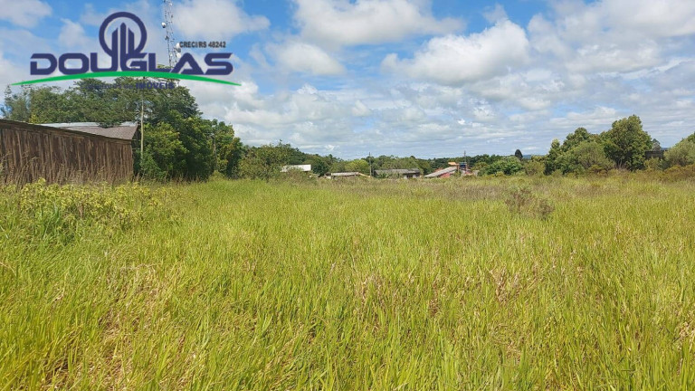 Imagem Terreno à Venda, 1.520 m² em Viamão Imagem Terreno à Venda, 1.520 m² em Viamão