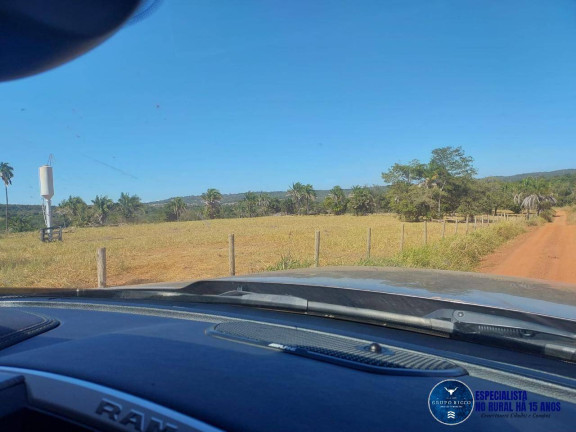 Imagem Fazenda à Venda, 100 m² em Zona Rural - Aruanã Imagem Fazenda à Venda, 100 m² em Zona Rural - Aruanã