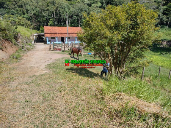 Imagem Chácara com 3 Quartos à Venda, 3 m² em Redenção Da Serra Imagem Chácara com 3 Quartos à Venda, 3 m² em Redenção Da Serra