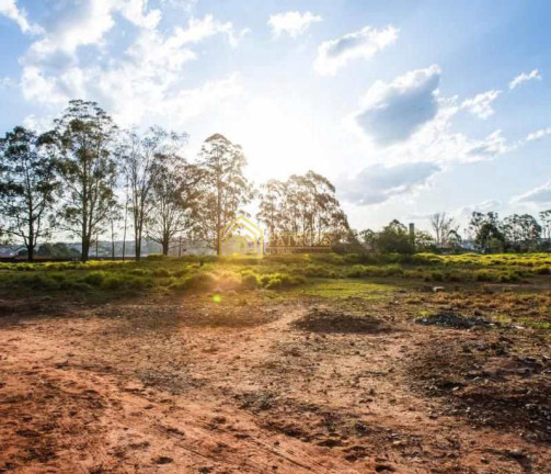 Imagem Terreno à Venda ou Locação, 28.000 m² em Cooperativa - São Bernardo Do Campo