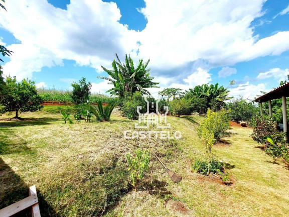 Imagem Chácara com 4 Quartos à Venda, 1.000 m² em Vila Rural Esperança - Londrina