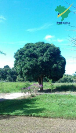 Imagem Fazenda à Venda, 30 m² em Trancoso - Porto Seguro Imagem Fazenda à Venda, 30 m² em Trancoso - Porto Seguro