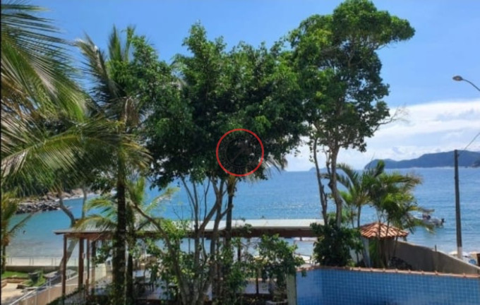 Imagem Imóvel Comercial à Venda, 1.206 m² em Boiçucanga - São Sebastião Imagem Imóvel Comercial à Venda, 1.206 m² em Boiçucanga - São Sebastião