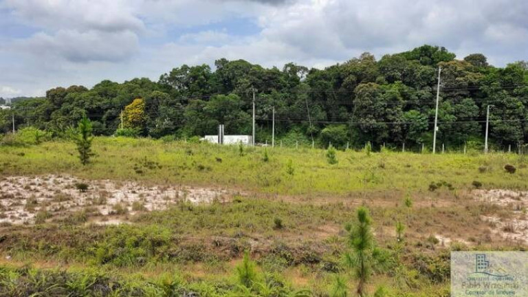 Imagem Terreno à Venda, 17.075 m² em Pirabeiraba (pirabeiraba) - Joinville Imagem Terreno à Venda, 17.075 m² em Pirabeiraba (pirabeiraba) - Joinville