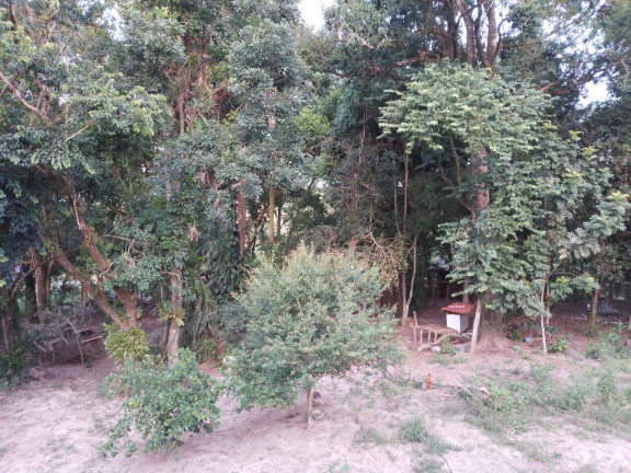 Imagem Chácara com 3 Quartos à Venda, 24 m² em Aparecida - Araçoiaba Da Serra Imagem Chácara com 3 Quartos à Venda, 24 m² em Aparecida - Araçoiaba Da Serra