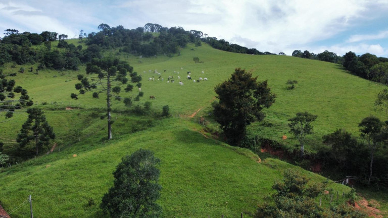 Imagem Fazenda à Venda, 30.000 m² em Centro - Joanópolis Imagem Fazenda à Venda, 30.000 m² em Centro - Joanópolis