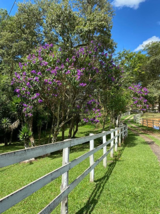 Imagem Imóvel com 3 Quartos à Venda, 39.615 m² em Paiol Velho - Cunha Imagem Imóvel com 3 Quartos à Venda, 39.615 m² em Paiol Velho - Cunha