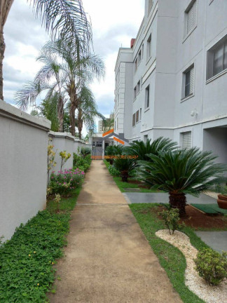 Imagem Apartamento com 2 Quartos à Venda, 49 m² em Morumbi - Paulínia Imagem Apartamento com 2 Quartos à Venda, 49 m² em Morumbi - Paulínia