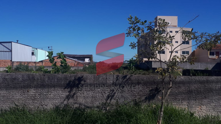 Imagem Terreno à Venda, 3.000 m² em Independência - São José Dos Pinhais Imagem Terreno à Venda, 3.000 m² em Independência - São José Dos Pinhais