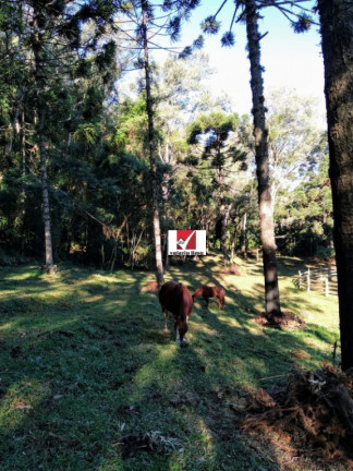 Imagem Imóvel com 4 Quartos à Venda, 6 m² em Morro Reuter