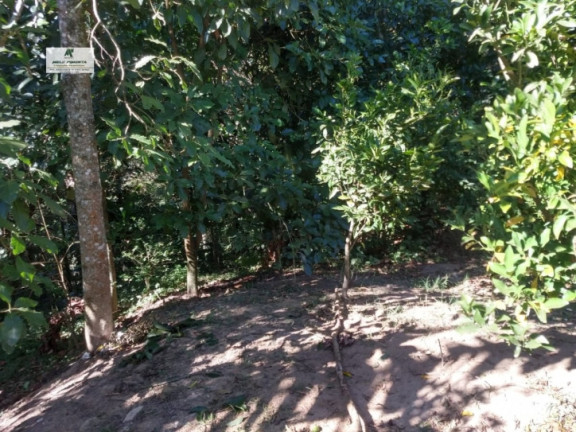 Imagem Casa com 2 Quartos à Venda, 250 m² em Jardim Vitoria - Mairinque Imagem Casa com 2 Quartos à Venda, 250 m² em Jardim Vitoria - Mairinque