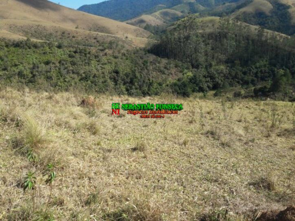 Imagem Chácara à Venda, 20.000 m² em São Francisco Xavier - São José Dos Campos Imagem Chácara à Venda, 20.000 m² em São Francisco Xavier - São José Dos Campos