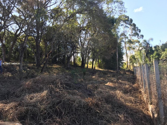 Imagem Terreno à Venda,  em Antes Do Centro - Ibiúna