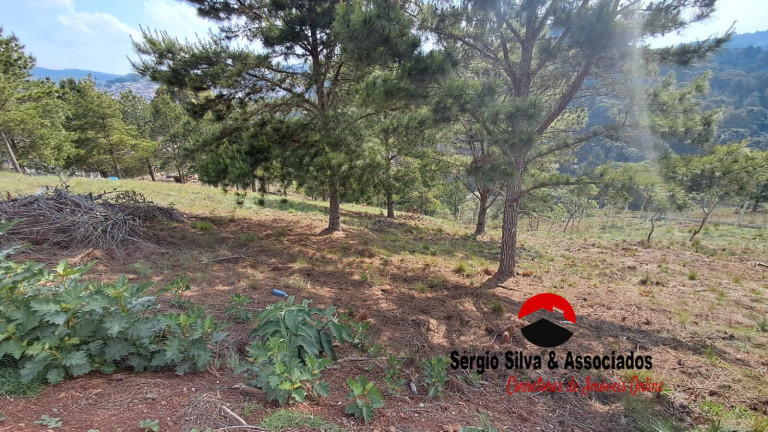 Imagem Terreno à Venda, 1.048 m² em Atalaia - Campos Do Jordão Imagem Terreno à Venda, 1.048 m² em Atalaia - Campos Do Jordão