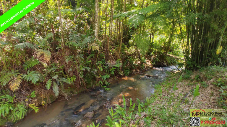 Imagem Imóvel à Venda, em Ribeirão Da Velha - Nova Trento Imagem Imóvel à Venda, em Ribeirão Da Velha - Nova Trento