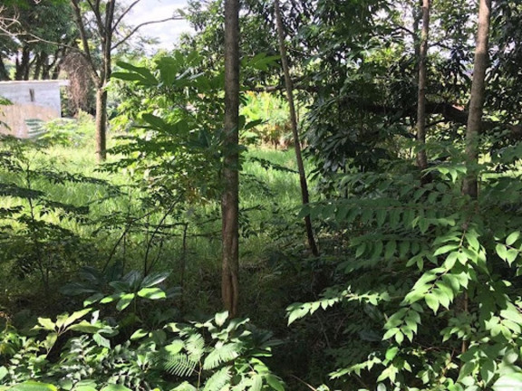 Imagem Terreno à Venda, 468 m² em Jardim Paulista - Atibaia Imagem Terreno à Venda, 468 m² em Jardim Paulista - Atibaia