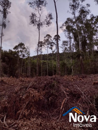 Imagem Imóvel à Venda, em Arroio Paixão - Nova Petrópolis Imagem Imóvel à Venda, em Arroio Paixão - Nova Petrópolis