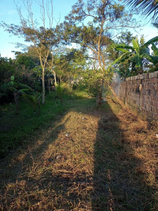 Imagem Chácara com 1 Quarto à Venda, 500 m² em Recreio Chácaras Das Palmeiras - Itanhaém Imagem Chácara com 1 Quarto à Venda, 500 m² em Recreio Chácaras Das Palmeiras - Itanhaém