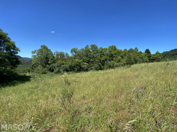 Chácara à Venda, 10.000 m² em Marcondes - Gramado