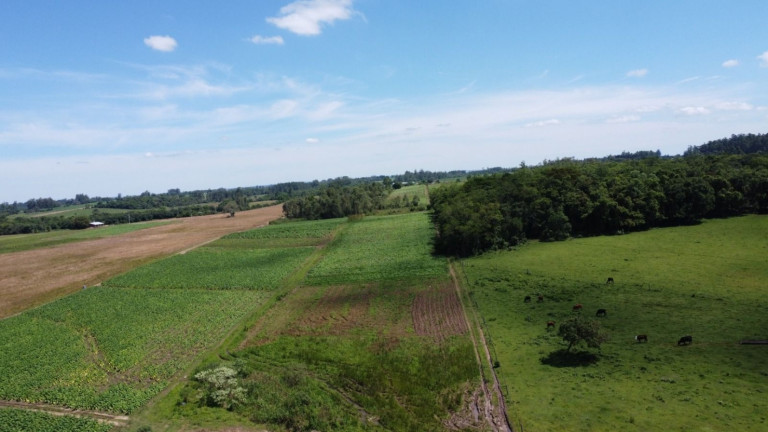Imagem Chácara com 2 Quartos à Venda, 68.000 m² em Zona Rural - Vale Do Sol Imagem Chácara com 2 Quartos à Venda, 68.000 m² em Zona Rural - Vale Do Sol