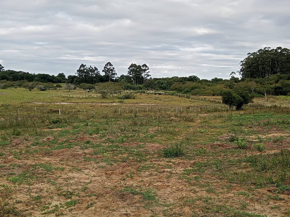 Imagem Chácara com 2 Quartos à Venda, 20.000 m² em águas Claras - Viamão