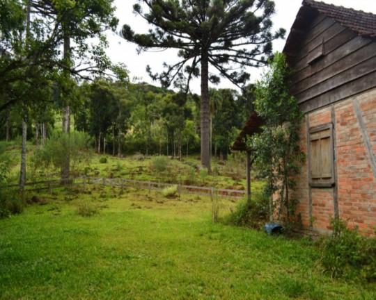 Imagem Imóvel à Venda,  em Linha Imperial - Nova Petrópolis